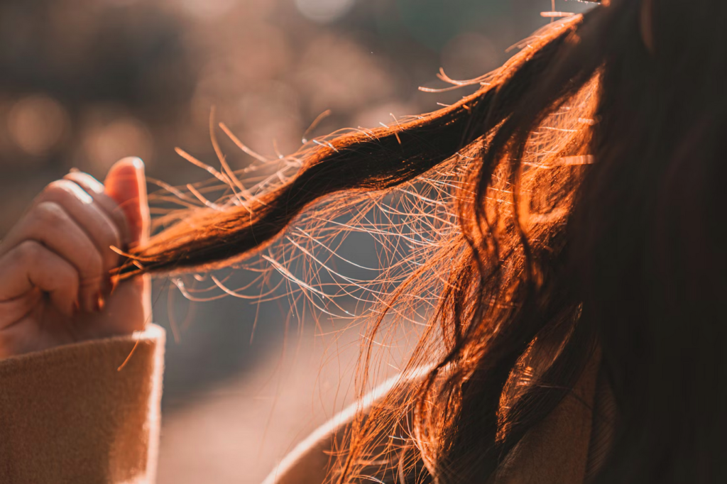 Descubra a Beleza Regenerativa no Laces: tratamentos que restauram a saúde do seu cabelo e do planeta com cosméticos naturais e produção sustentável.