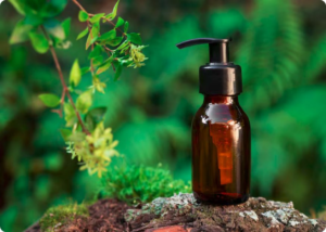Descubra a Beleza Ética: O Crescimento dos Produtos Fair Trade no Setor de Beleza na Laces and Hair. Conheça nossos produtos naturais e cadeia sustentável.
